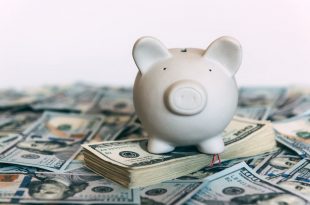 Piggy moneybox with dollar cash