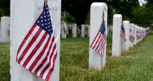Rows of grave stones in a National cemetery decorated with American flags for Memorial Day.