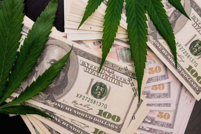 the cannabis plant on us dollars. money with marijuana leaves.