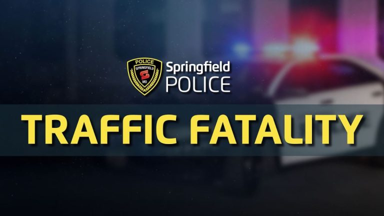 spd traffic fatality graphic