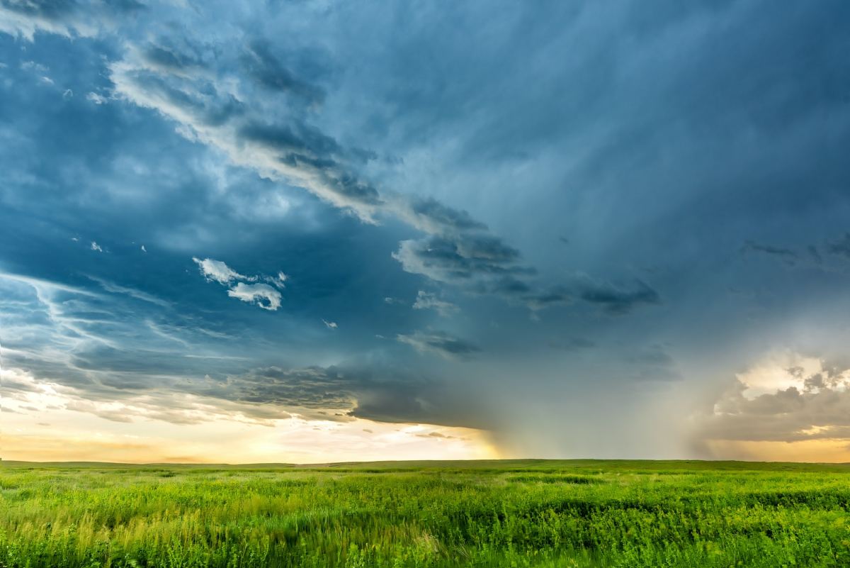 tornado cell over grassy field