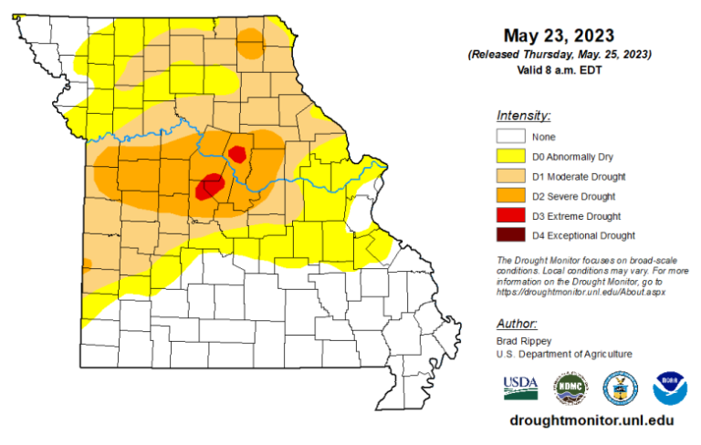 drought picture
