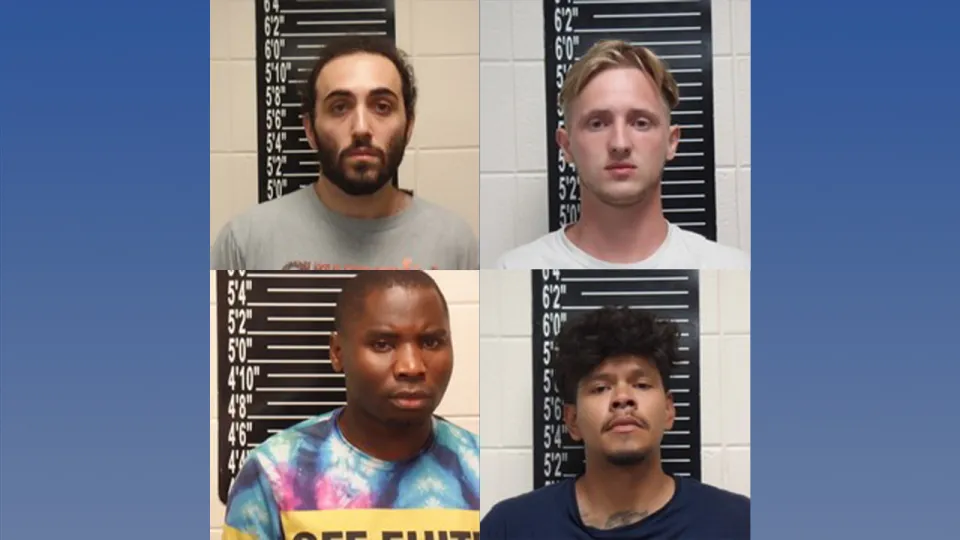 stone county sex sting mugs