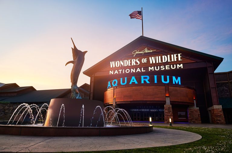 wonders of wildlife