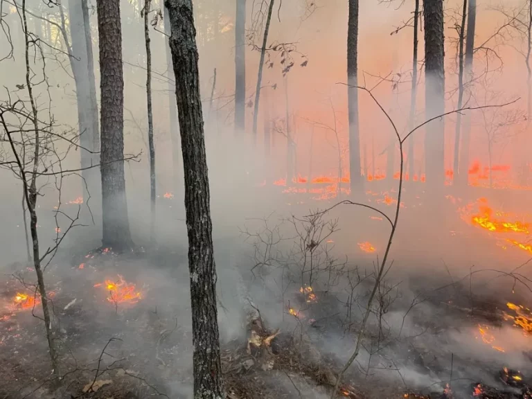 squires fire