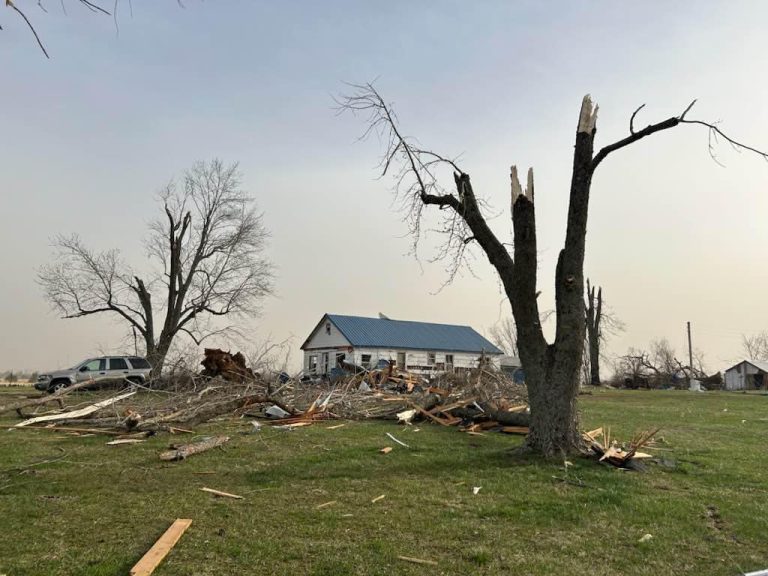tornado aftermath 3 14 25