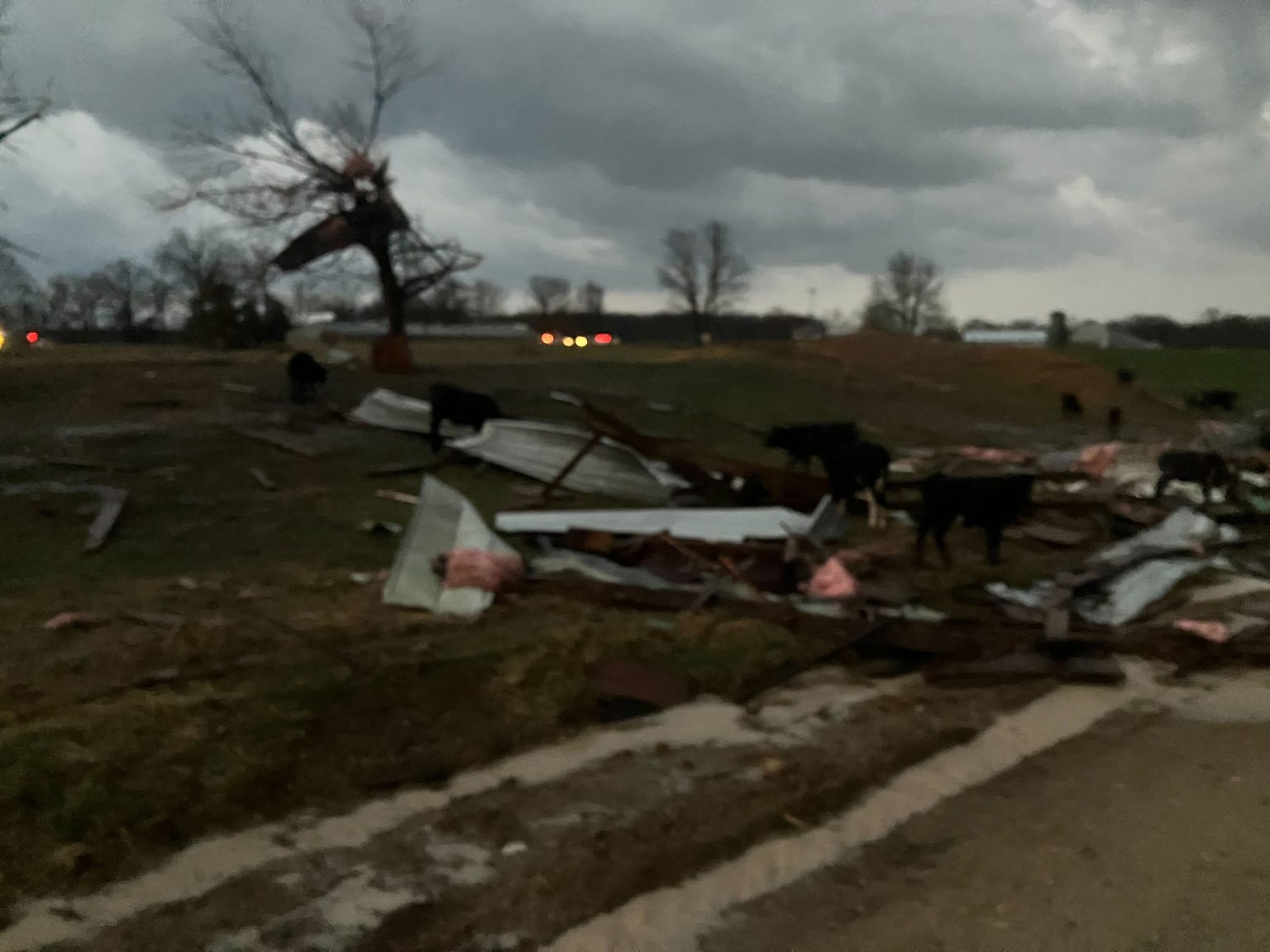webster county damage 3 14 25
