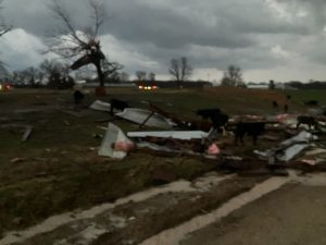 webster county damage 3 14 25