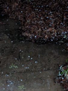 681274551 1392404402906604 600931655902541146 n